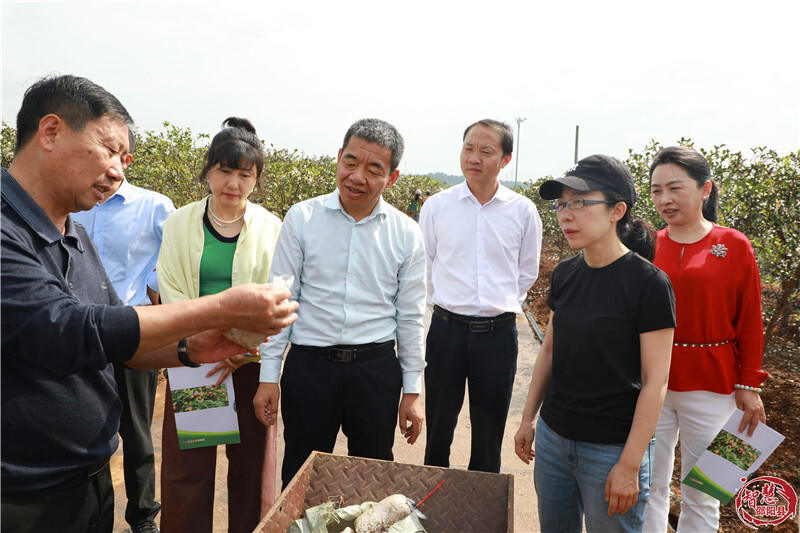 自然资源部国土整治中心到邵阳县调研历史遗留废弃矿山生态修复工作(图1)